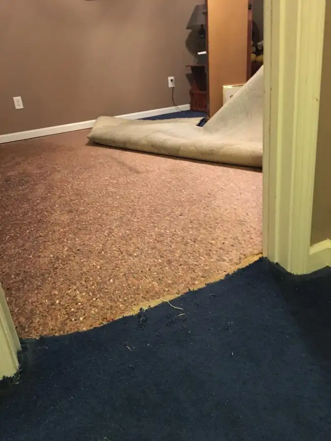 Carpet pad removal revealing water damage during Drying & Dehumidification in Leon Valley